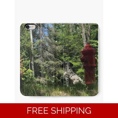 Le Studio Iphone Wallet Rush Signals Statue up at Le Studio Back 2020